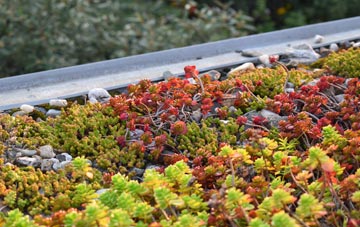 the cost of Brunstane green roof installation