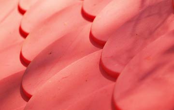 Brunstane plastic roof costs