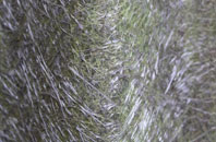 Brunstane fibreglass roof work