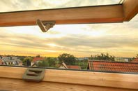 rated Brunstane roof window companies